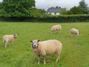 260517breizh528.jpg