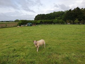 260517breizh530.jpg