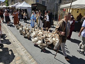 260613provins06.jpg