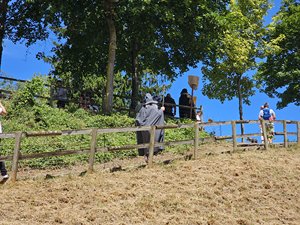 260613provins17.jpg