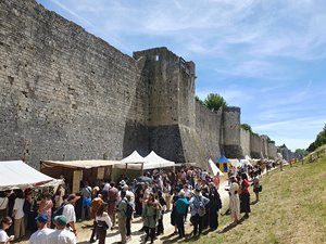 260613provins19.jpg