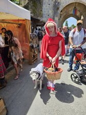 260613provins24.jpg