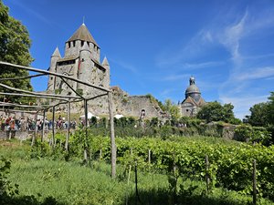 260613provins46.jpg