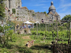 260613provins56.jpg