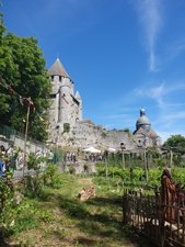 260613provins58.jpg