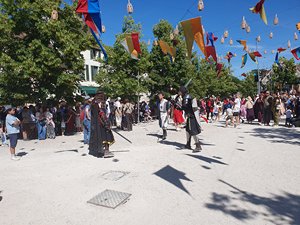 260613provins64.jpg