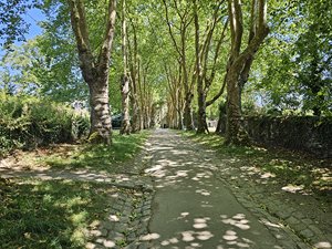 260720breizh033.jpg