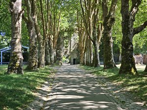 260720breizh034.jpg