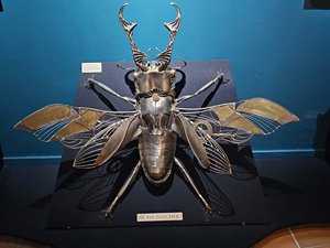 260720breizh036.jpg