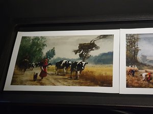 260720breizh039.jpg