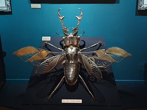 260720breizh042.jpg