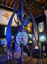260720breizh055.jpg