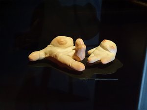 260720breizh070.jpg
