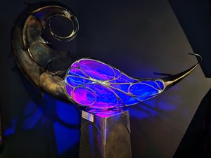 260720breizh072.jpg