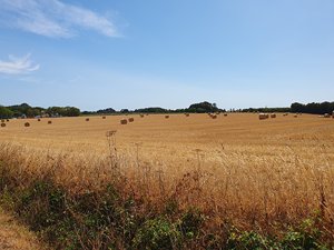 260720breizh080.jpg