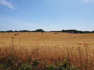 260720breizh081.jpg