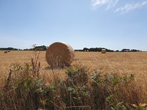 260720breizh082.jpg