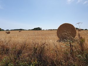 260720breizh083.jpg