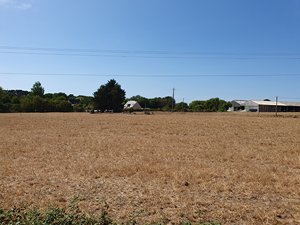 260720breizh084.jpg