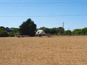 260720breizh085.jpg