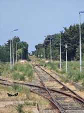 260722breizh163.jpg