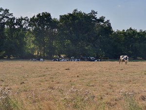 260722breizh227.jpg