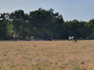260722breizh228.jpg