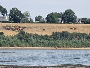 260723breizh238.jpg