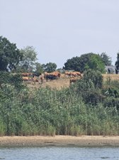 260723breizh239.jpg