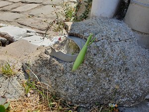 260724breizh260.jpg