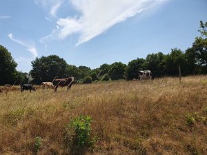 260724breizh266.jpg