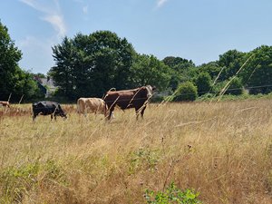 260724breizh267.jpg
