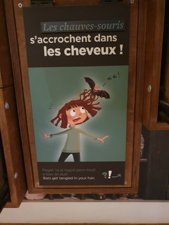 260724breizh302.jpg