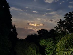 260724breizh309.jpg