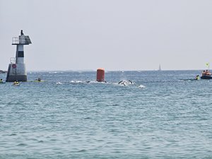 260725breizh351.jpg