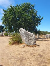 260726breizh390.jpg