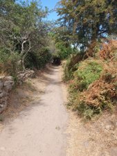 260726breizh393.jpg