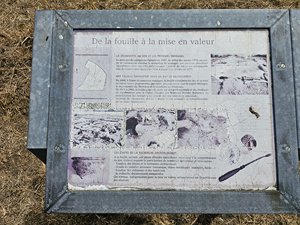 260727breizh442.jpg