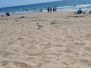 260727breizh452.jpg