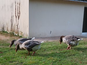 260727breizh457.jpg