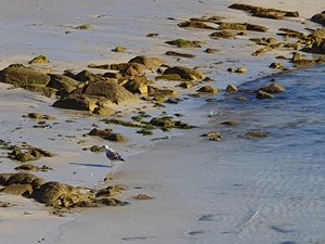 260728breizh462.jpg