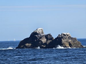 260728breizh475.jpg