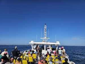260728breizh501.jpg