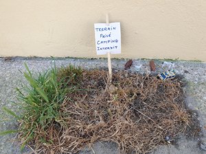260728breizh539.jpg