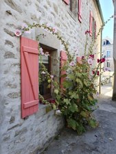 260728breizh540.jpg