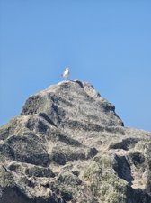 260728breizh553.jpg