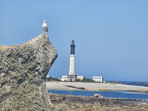 260728breizh557.jpg