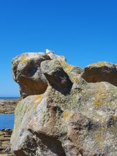 260728breizh558.jpg