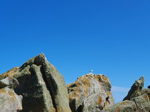 260728breizh562.jpg