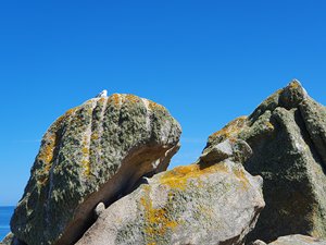260728breizh563.jpg